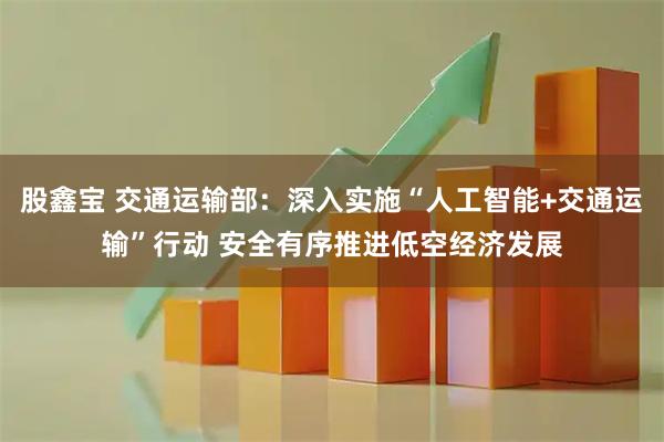 股鑫宝 交通运输部：深入实施“人工智能+交通运输”行动 安全有序推进低空经济发展
