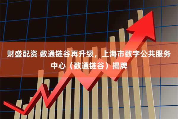 财盛配资 数通链谷再升级，上海市数字公共服务中心（数通链谷）揭牌