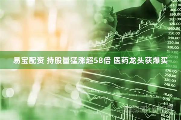易宝配资 持股量猛涨超58倍 医药龙头获爆买