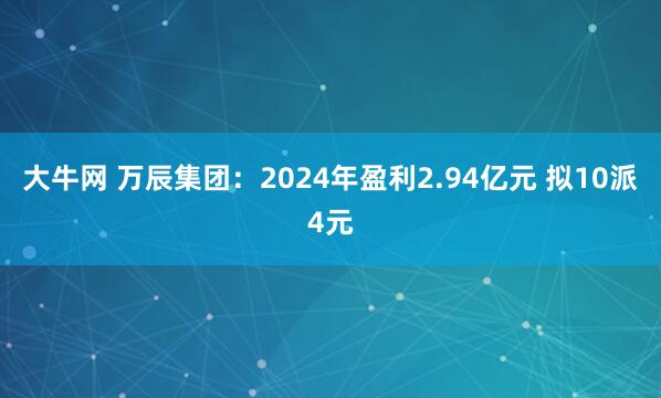 大牛网 万辰集团：2024年盈利2.94亿元 拟10派4元