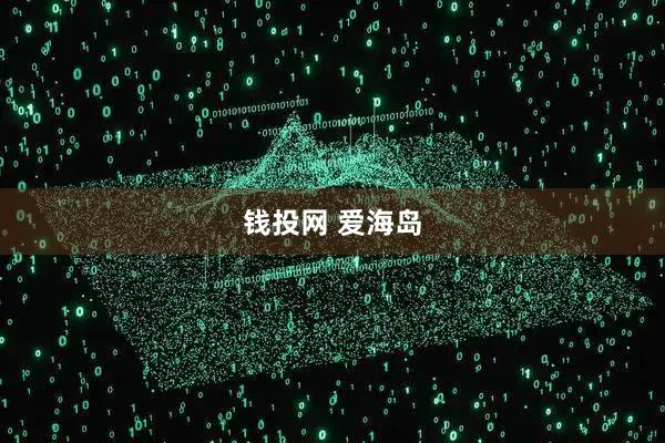 钱投网 爱海岛