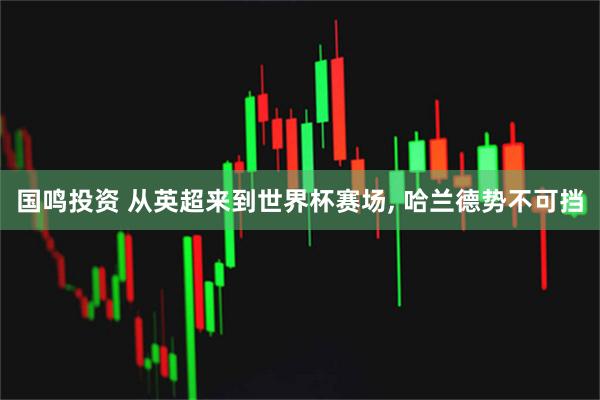 国鸣投资 从英超来到世界杯赛场, 哈兰德势不可挡
